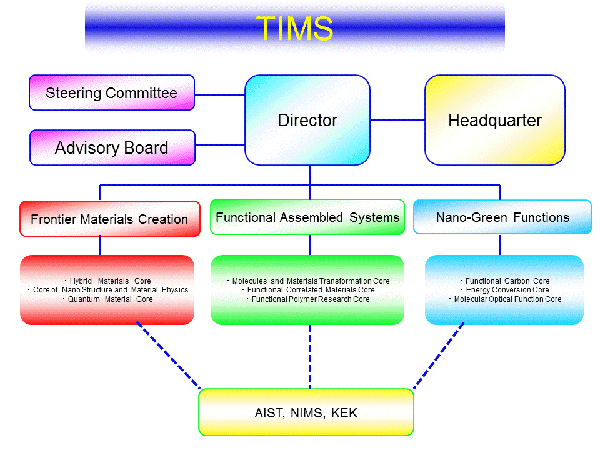 TIMSの組織・体制・役割